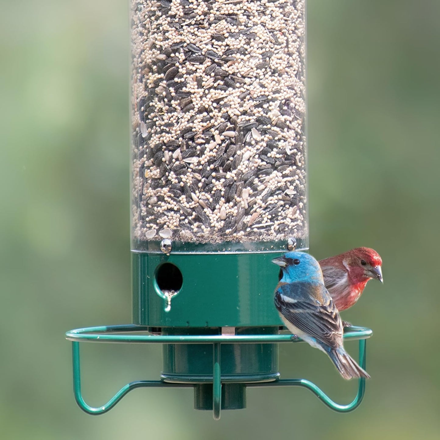 BIONCare Squirrel-Resistant Bird Feeder