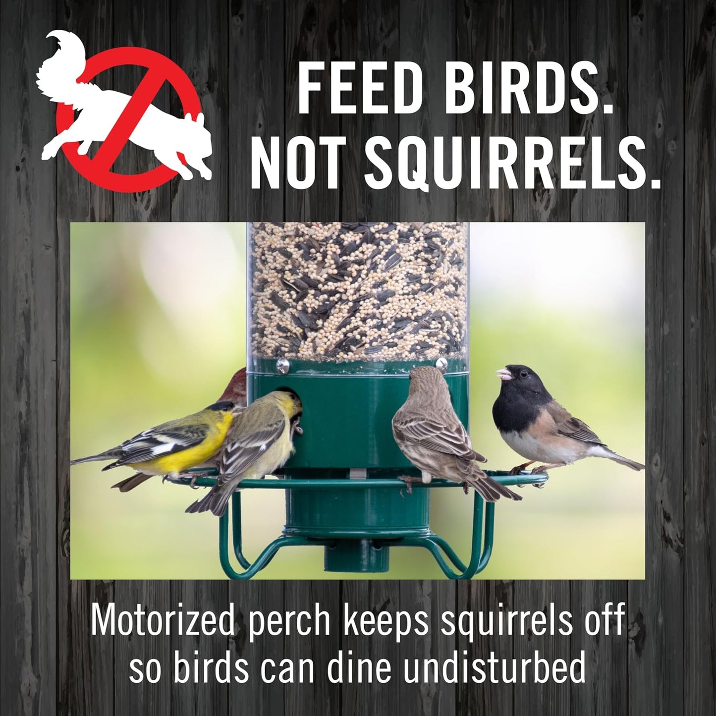 BIONCare Squirrel-Resistant Bird Feeder