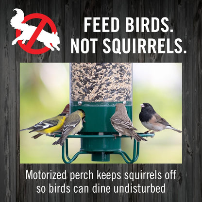 BIONCare Squirrel-Resistant Bird Feeder
